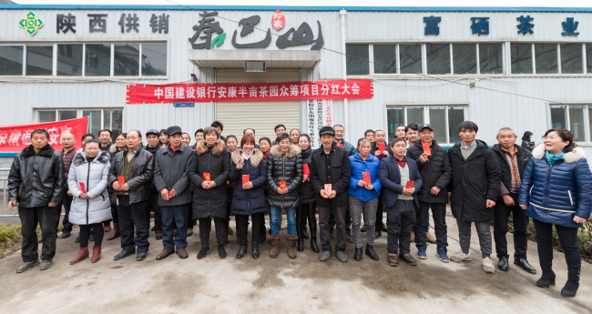 建行“半畝茶園”愛心分紅 精準滴灌安康紫陽貧困戶