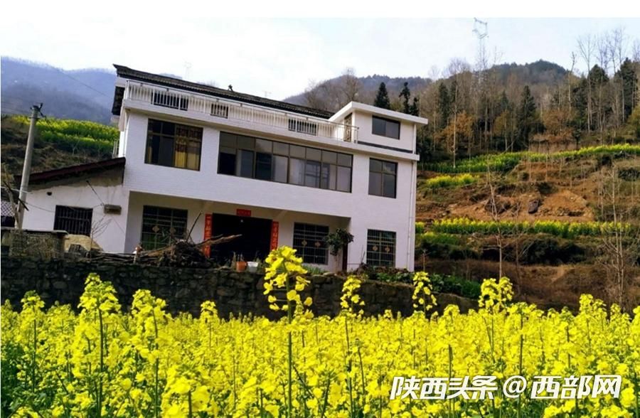 春天裏的陜西｜漢江源頭寧強縣 最美人間四月天