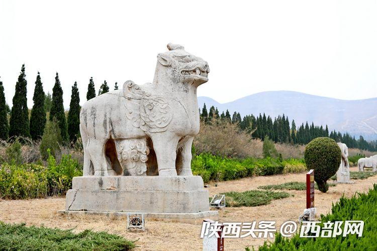 無甚建樹的唐睿宗李旦可算明君？全國網媒橋陵聆聽背後故事