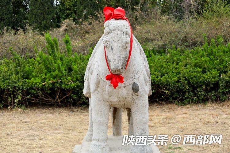 無甚建樹的唐睿宗李旦可算明君？全國網媒橋陵聆聽背後故事