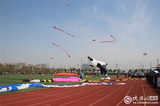 體育踏春新時尚 2019咸陽渭河國際風箏節正式開賽