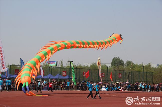 體育踏春新時尚 2019咸陽渭河國際風箏節正式開賽