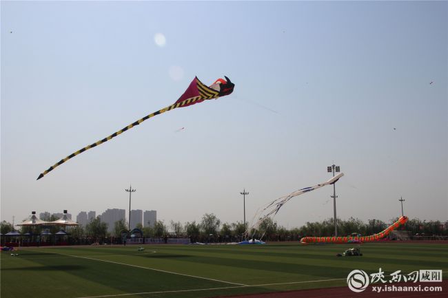 體育踏春新時尚 2019咸陽渭河國際風箏節正式開賽