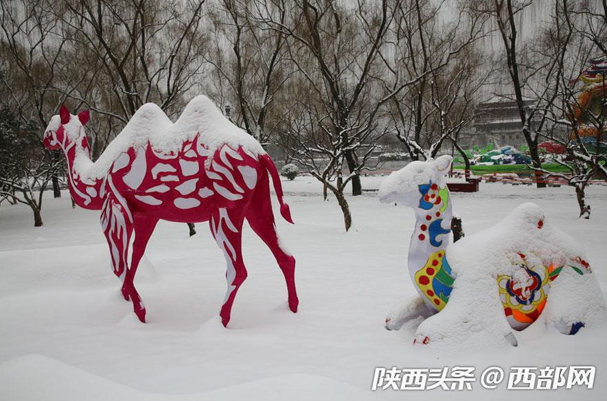 春節假期一場大雪濃了年味 美了不起眼的景和人