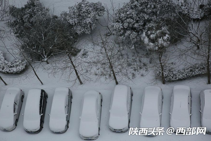 春節假期一場大雪濃了年味 美了不起眼的景和人