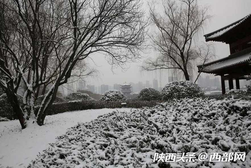 春節假期一場大雪濃了年味 美了不起眼的景和人
