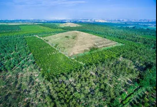 國家級新區五週年！一大波照片帶你見證這片土地的創新蝶變