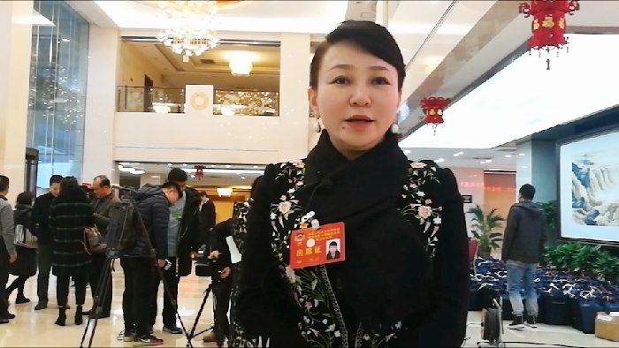 當“兩會”遇上“西安年” 聽政協委員怎麼説