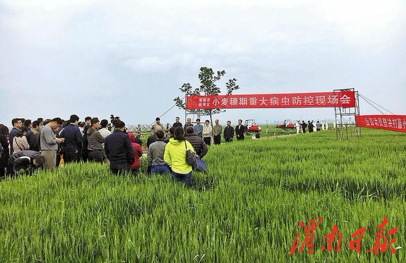 良田豐饒谷盈倉丨2018年渭南市糧食生産穩定發展綜述