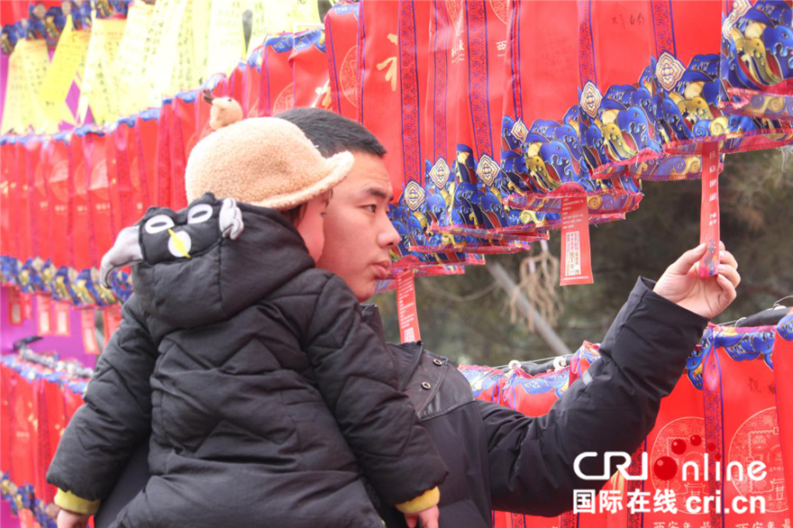陜西：花燈璀璨鬧元宵 精彩活動添年味