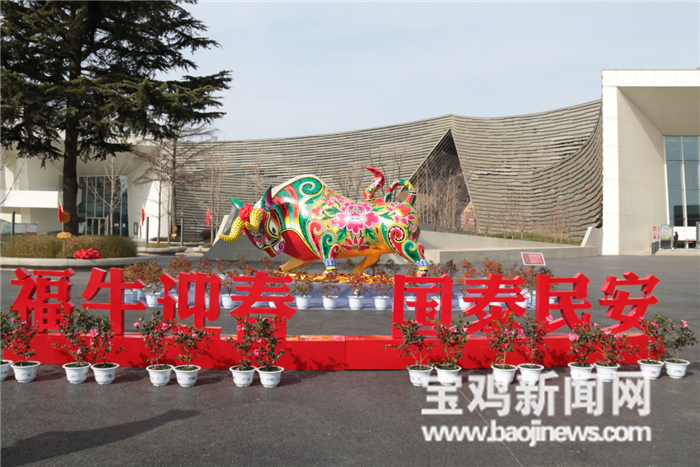 彩牛迎春 全國最大的泥塑牛在寶雞市文化藝術中心“安家”