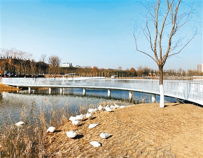 長安城市公園二期春節前將開放