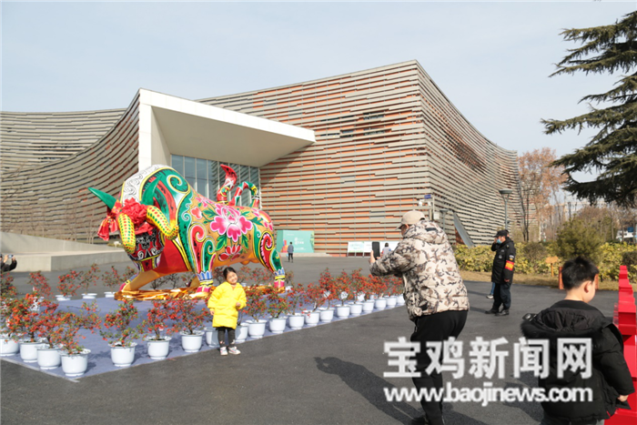 彩牛迎春 全國最大的泥塑牛在寶雞市文化藝術中心“安家”