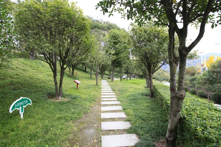 生態傲驕 陜西又添9個省級森林縣城