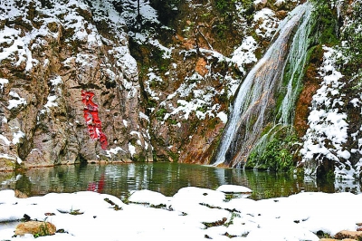 那山，那水，那寶 ——陜西漢中圍繞“秦嶺”“漢江”“朱鹮”踐行“兩山論”