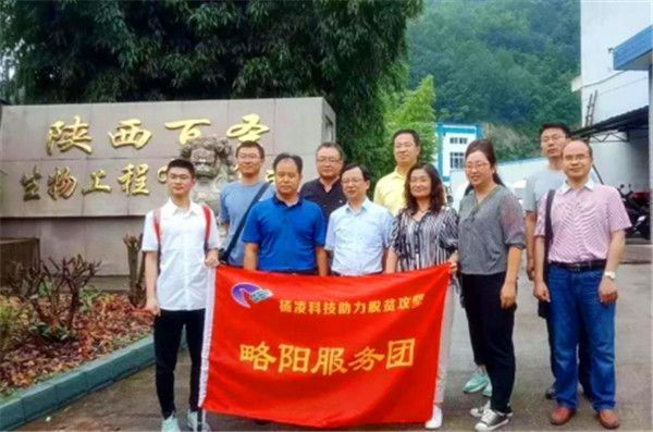 讓烏雞變成“金鳳凰” ——陜西脫貧摘帽背後的“楊淩故事”