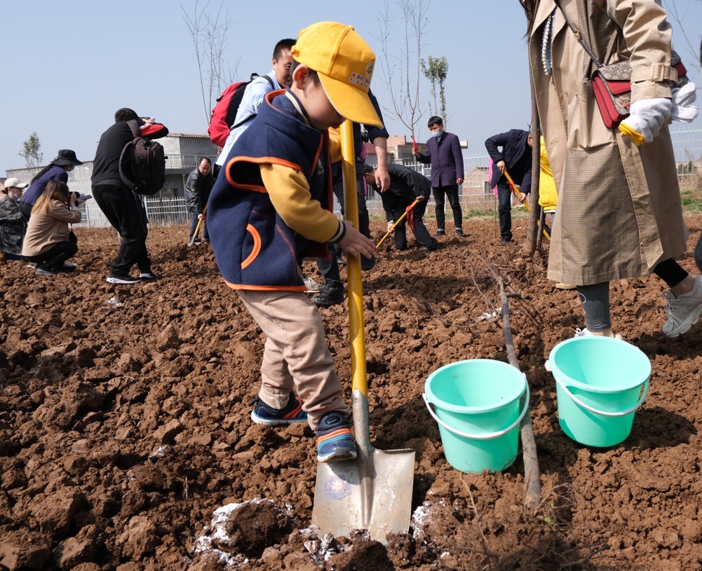 （有修改）2021白鹿原影視城植樹季活動圓滿舉辦