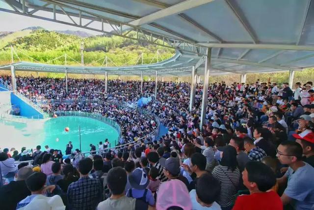 秦嶺野生動物園穩居攜程“全國景區熱度榜”前三位