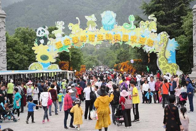 秦嶺野生動物園穩居攜程“全國景區熱度榜”前三位