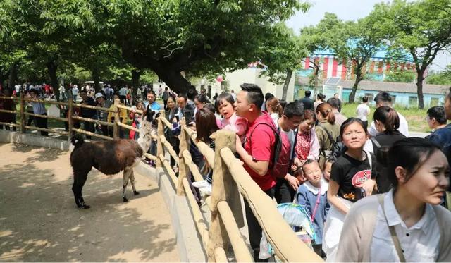 秦嶺野生動物園穩居攜程“全國景區熱度榜”前三位