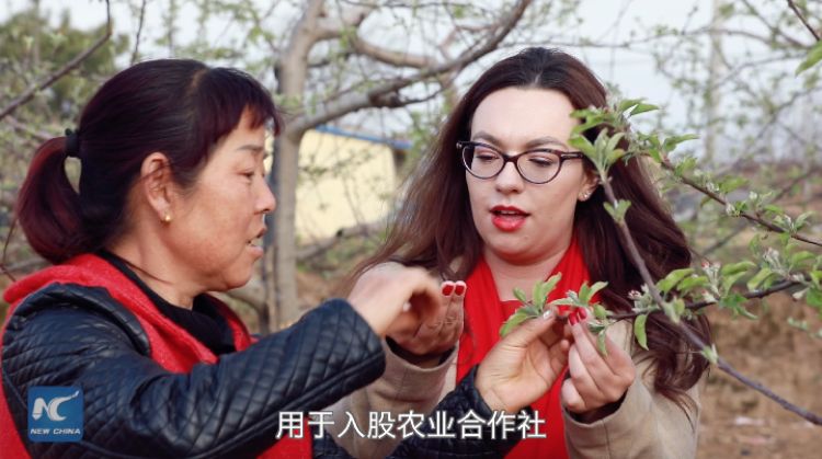 新“西行漫記”：“洋記者”眼中的“革命聖地”之變
