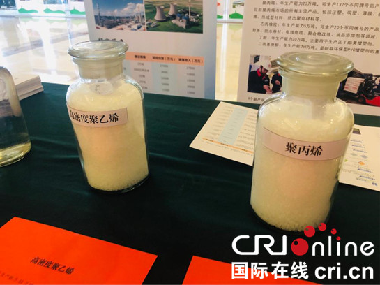 參展第四屆絲博會 奮進新延安吸引全球目光