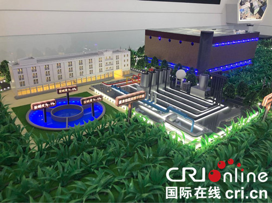 參展第四屆絲博會 奮進新延安吸引全球目光