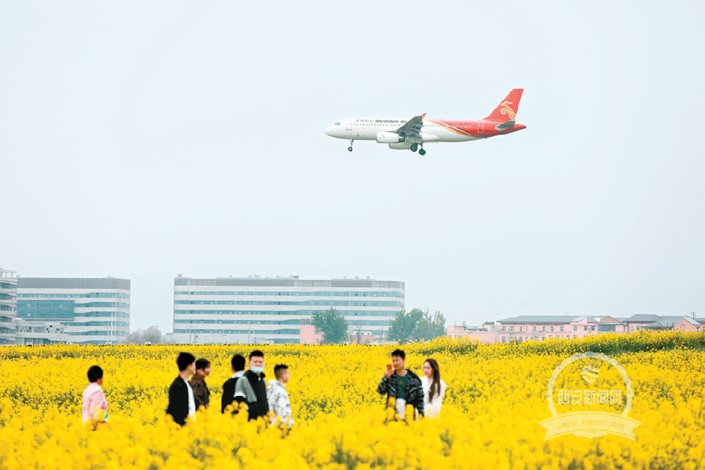 （轉載）西鹹新區空港新城首屆油菜花節開幕 8場主題活動等你來“打卡”_fororder_f48e38a3861121db3a812b
