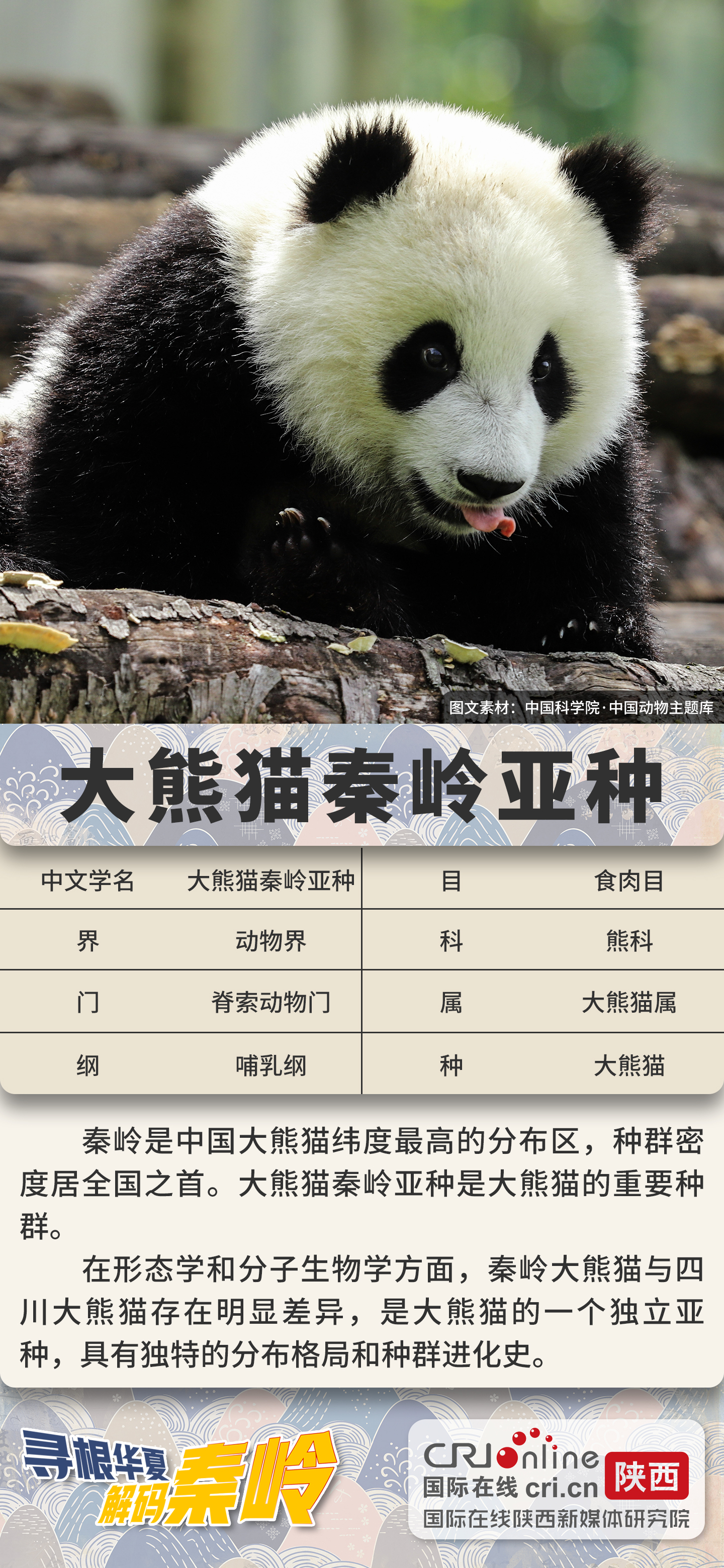 大熊貓_fororder_微信圖片_20210422154750