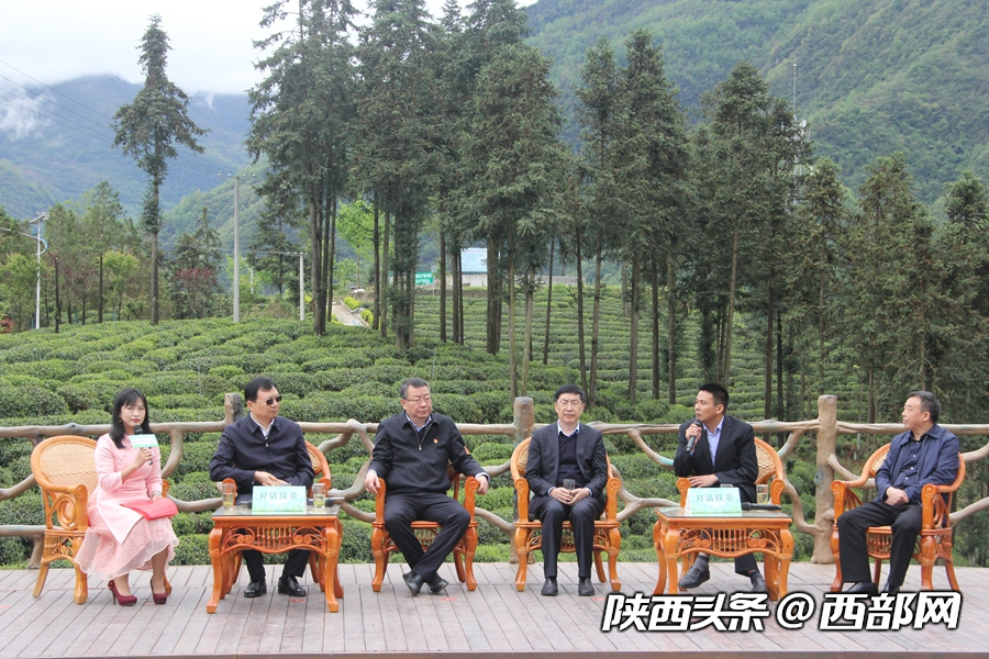 第二屆陜西網上茶博會開幕 首推鎮巴高山有機富硒茶
