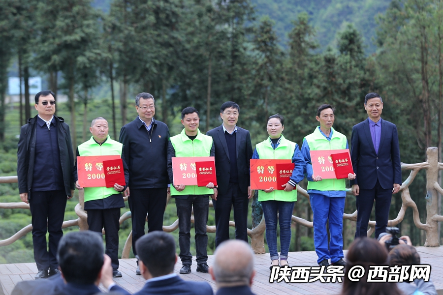 第二屆陜西網上茶博會開幕 首推鎮巴高山有機富硒茶