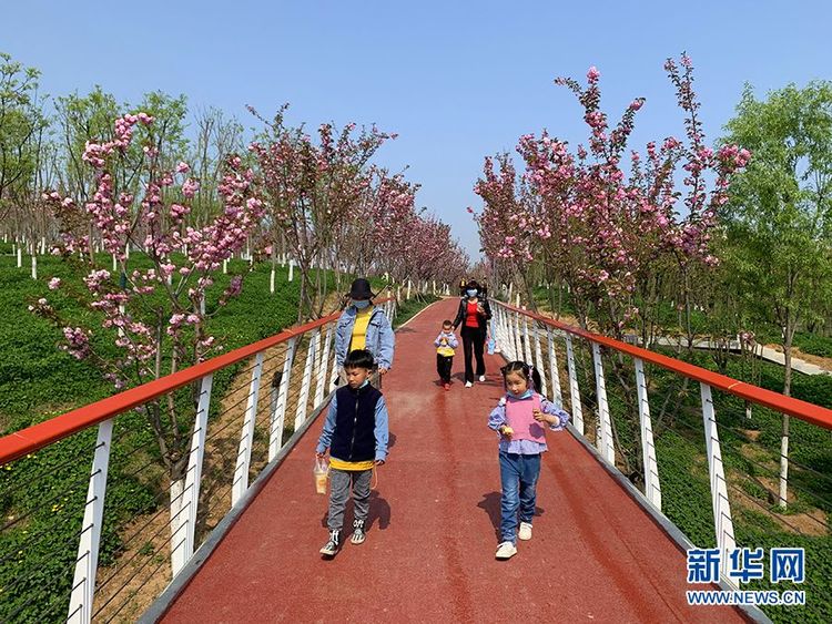 陜西長安：柳綠帶朝煙清水繞新城 打造宜居公園城市
