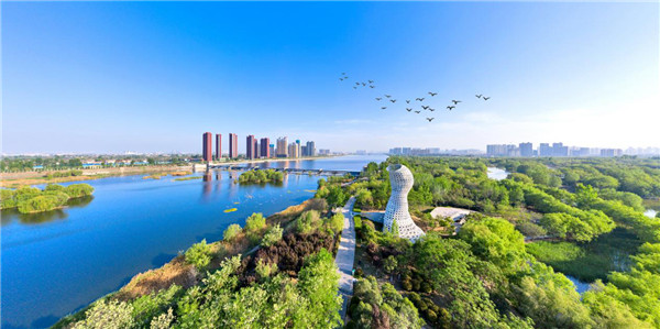 浐灞自貿功能區：用如椽巨筆繪就陜西自貿新景_fororder_圖片127