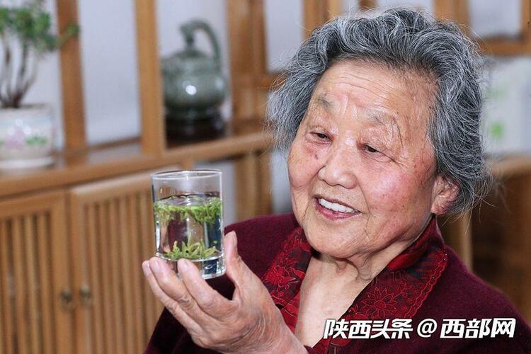 （轉載）商南：三代茶人接力提品質樹品牌拓市場 創出北緯33°奇跡_fororder_f2c53d55be8d5d4405d338f5e73cbc1e