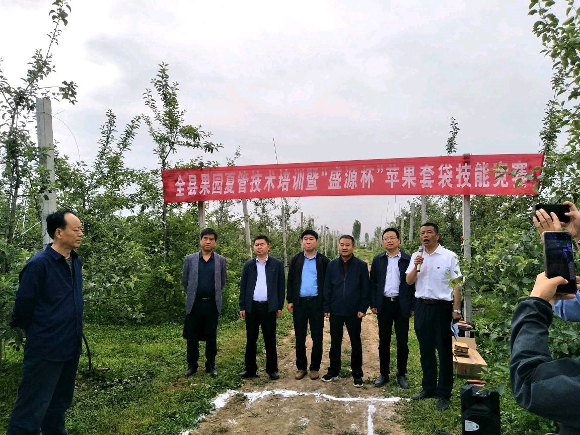 寶雞隴縣：結合果園夏管培訓開展蘋果套袋技能競賽_fororder_1
