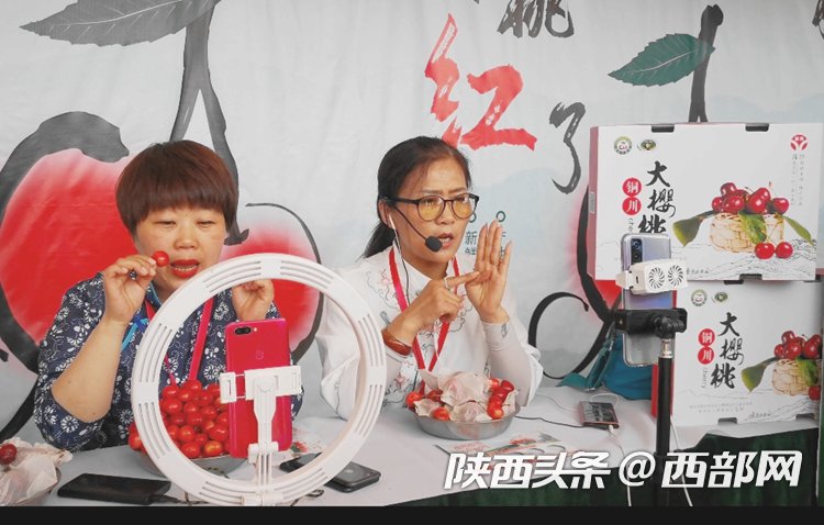 （轉載）銅川大櫻桃成熟上市 科技支撐品質好市場銷售走向多元化