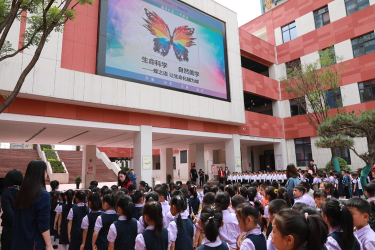 生命科學 自然美學 ——蝶之語·讓生命化蛹成蝶