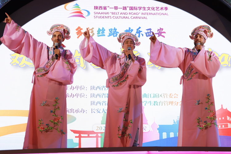 陜西省“一帶一路”國際學生文化藝術季 ——“歡樂的馬達加斯加”演出成功舉辦_fororder_圖片6