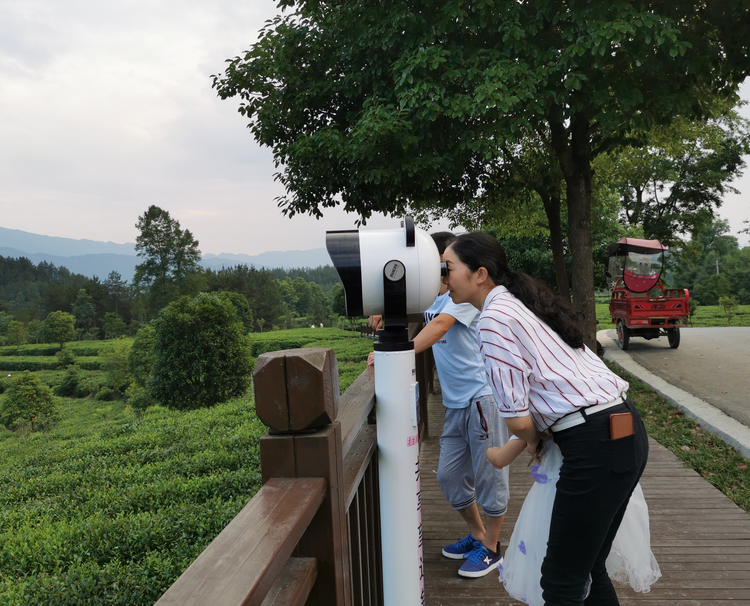 “茶博士”“茶王”強強聯手 漢中“茶旅融合”蹚出新路子_fororder_圖片3