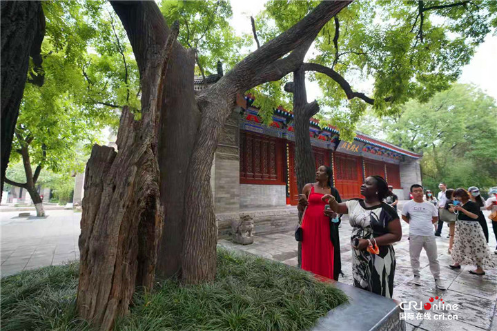 【HI  西安】舊貌換新顏  駐華大使夫人領略小雁塔傳奇色彩_fororder_微信圖片_20210706151309