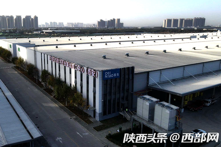 陜西“飛天蘋果”上線淘寶買菜 近場社區電商帶來農業數字化變革_fororder_fd1efee23eaf3fd0e8e275bfdd1791e3