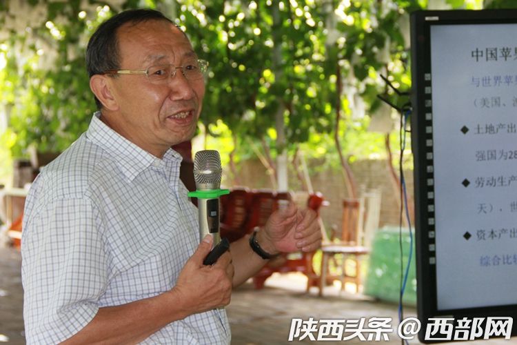 陜西“飛天蘋果”上線淘寶買菜 近場社區電商帶來農業數字化變革_fororder_a05e57cacdb07b861b8190e76cf68bf2