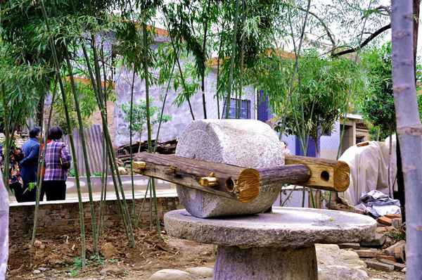 長安這個“花園鄉村”厲害了 “美麗庭院”有30多家