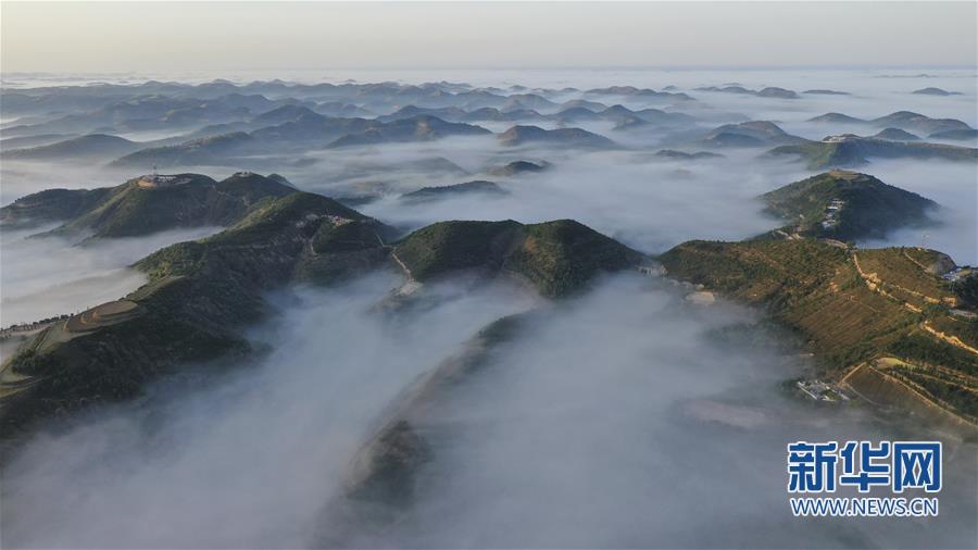 退耕還林二十年 黃土高坡現仙境