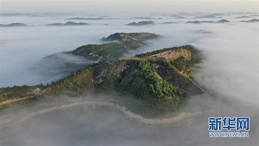 退耕還林二十年 黃土高坡現仙境