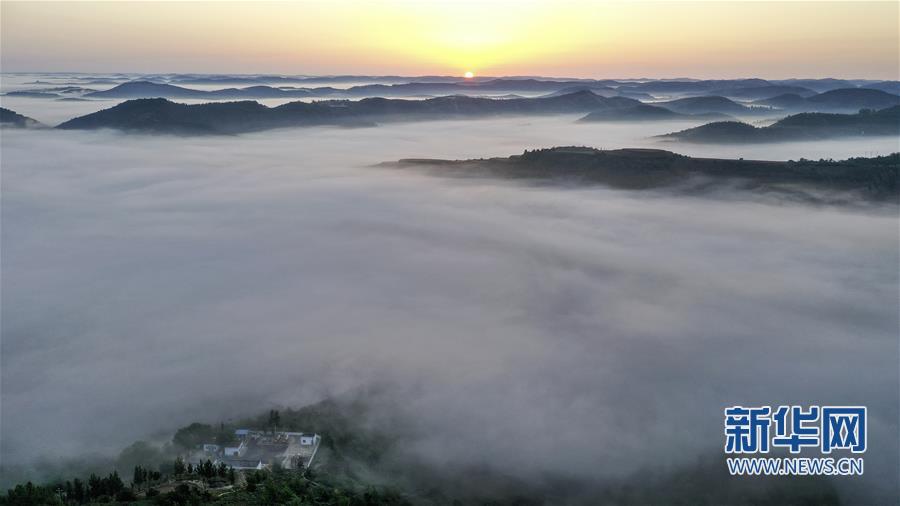 退耕還林二十年 黃土高坡現仙境