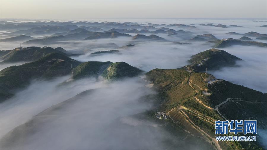 退耕還林二十年 黃土高坡現仙境