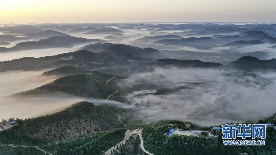 退耕還林二十年 黃土高坡現仙境