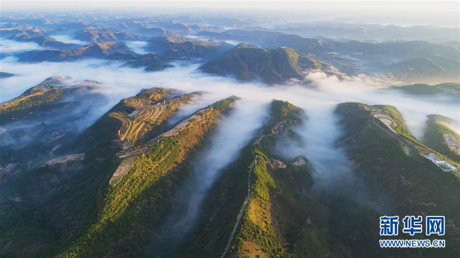 陜西吳起：讓黃土高坡披彩挂綠