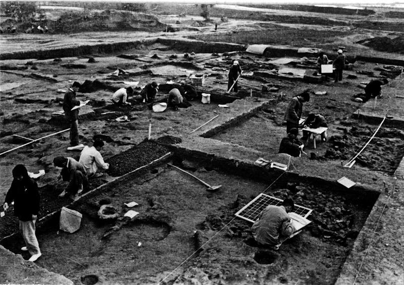 6000年前，你是做什麼用的？